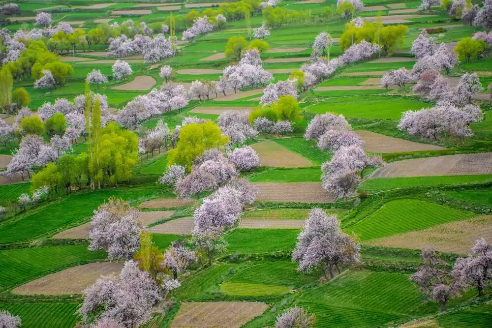 chunda-valley-skardu